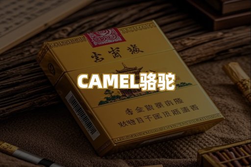CAMEL骆驼